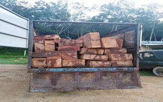 Đục khoét số khung, số máy xe tải để chở gỗ lậu