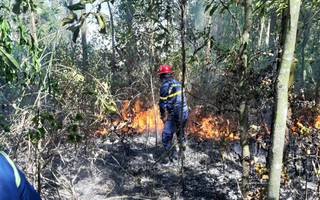 Đà Nẵng: Cháy lớn suốt 5 giờ khiến 3 ha rừng bị thiêu rụi