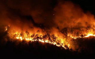 Vụ cháy rừng ở núi Hồng Lĩnh: Tạm giữ một nghi can