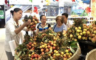 Siêu thị đưa vải thiều, gạo lên bán trên ví điện tử MoMo