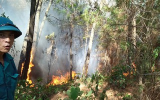 Cháy rừng kinh hoàng ở Hà Tĩnh: Lập chốt chặn trên QL 1A cũ, sơ tán dân