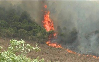 Đang cháy rừng ở Quảng Bình, hàng trăm cán bộ được huy động dập lửa