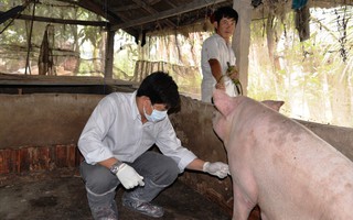 Phó Chủ tịch tỉnh Tiền Giang ra "tối hậu thư" với 5 địa phương