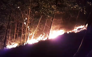 Đang cháy rừng ở Quảng Nam
