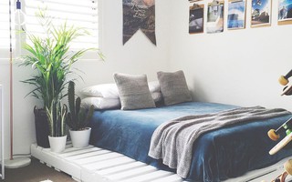Các kiểu giường pallet có giá hợp lý cho phòng ngủ của bạn