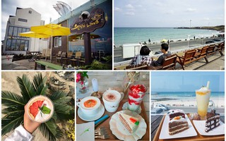 4 quán café nhất định phải “check-in sống ảo” khi đến Jeju – Hàn Quốc