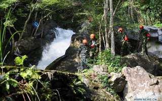 Xe buýt rơi xuống hẻm núi ở Lào, 13 du khách Trung Quốc thiệt mạng