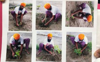 Ấn Độ: Muốn sử dụng súng hãy trồng cây