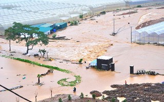 Miền cao ngập lụt kinh hoàng