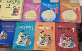 Bộ GD-ĐT phản hồi thế nào về kiến nghị SGK Công nghệ giáo dục của GS Hồ Ngọc Đại?