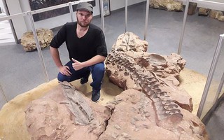 Kinh dị cá sấu quái vật chuyên ăn thịt khủng long 210 triệu năm tuổi