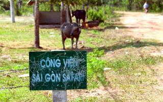 Dự án Sài Gòn Safari: Phê bình nghiêm khắc lãnh đạo 2 sở và huyện Củ Chi