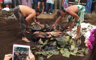 Người Hawaii đào hố làm lò nướng hơn 1.000 kg thịt heo