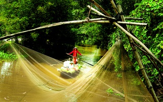 Tâm thức nhà quê