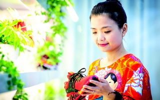 Truyền thừa, dựng nghiệp