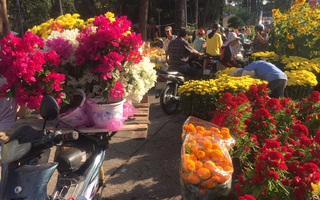 Chen nhau mua hoa giảm giá sáng 30 Tết, hàng chục gốc đào xứ Bắc bị bỏ lại ở chợ hoa