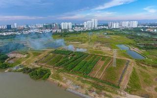 Bắt giam nguyên tổng giám đốc Công ty Tân Thuận