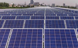 IEA: Điện mặt trời sẽ là 'vua mới' trên thị trường
