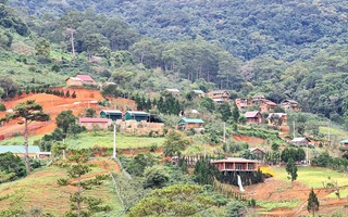 Làng biệt thự vắng chủ xây trái phép trên đất rừng Lâm Đồng