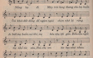 Về ca khúc "Còn thương rau đắng mọc sau hè": "Coi cói đốt đồng" hay "coi khói" hay...?