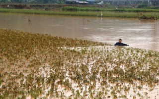 Miền Trung mưa lớn kéo dài