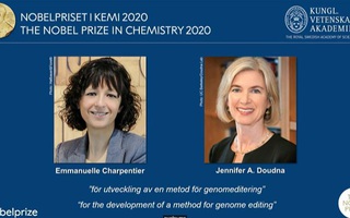 Giải Nobel Hóa học 2020 tôn vinh phương pháp chỉnh sửa gien