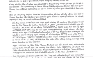 Luật sư của bà Trần Uyên Phương nói gì về vụ bị tố lừa đảo dự án 1.000 tỉ đồng?