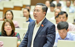 ĐBQH Lưu Bình Nhưỡng: Tung 12.000 tỉ "giải cứu" Vietnam Airlines là nhiệm vụ chính trị, xã hội!