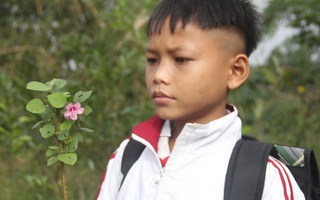 Thương cảnh học sinh vùng sạt lở núi hái hoa rừng để tặng giáo viên