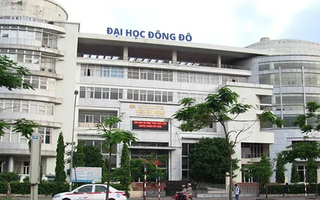 Đại học Đông Đô cấp hàng trăm bằng tiếng Anh giả cho học viên