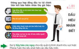 Phá ổ nhóm tài chính đa cấp và tiền ảo 1.000 tỉ đồng