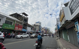 Ngột ngạt vì vắng bóng cây