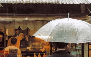 Đi đâu vào ngày mưa ở Đà Lạt?