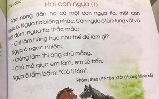 Làm rõ trách nhiệm