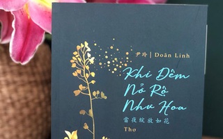 "Khi đêm nở rộ như hoa" của Doãn Linh