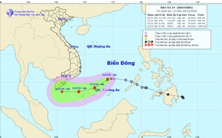 Chủ động ứng phó với bão số 14