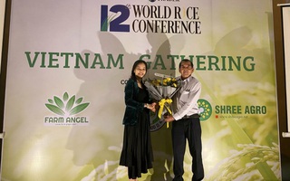 Gạo ST25 giành giải nhì "Gạo ngon nhất thế giới 2020"