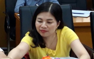 Một nữ Phó chủ tịch UBND huyện ở Lạng Sơn bị khởi tố