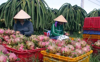 Không đầu hàng khó khăn