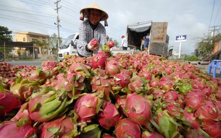 Mở thêm thị trường cho nông sản