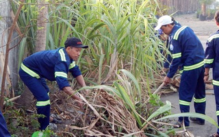 200 ngày thi đua chào mừng Đại hội Đảng bộ các cấp