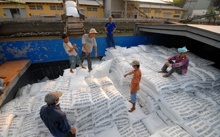 Tạm dừng xuất khẩu gạo dưới mọi hình thức từ ngày 24-3
