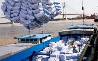 Bộ Công Thương kiến nghị tiếp tục thực hiện xuất khẩu gạo
