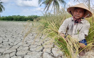 Đưa nước sang cứu miền Tây?