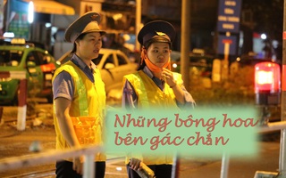 Những bông hoa bên rào chắn xe lửa