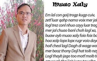 Cha đẻ "Chữ VN song song 4.0": "Dân mạng "ném đá" là bình thường"!