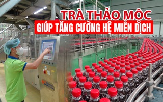 [eMagazine] Nhìn lại quy trình sản xuất Trà thảo mộc giúp tăng cường hệ miễn dịch