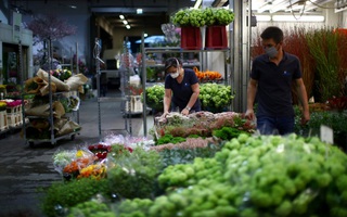 Chưa thể vội nới lỏng phong tỏa