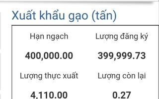 Đã có 4.110 tấn gạo trong hạn ngạch 400.000 tấn được thông quan