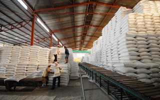 Xuất khẩu gạo phải bảo đảm an ninh lương thực